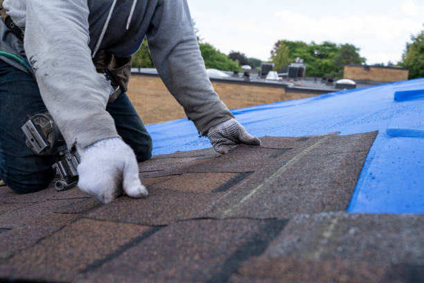 Best Emergency Roof Repair Services  in Mill Creek East, WA